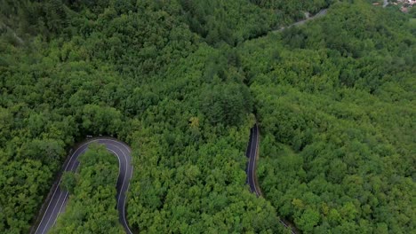 esta es la historia de un camino que significa una vida misteriosa, con coches, lugares