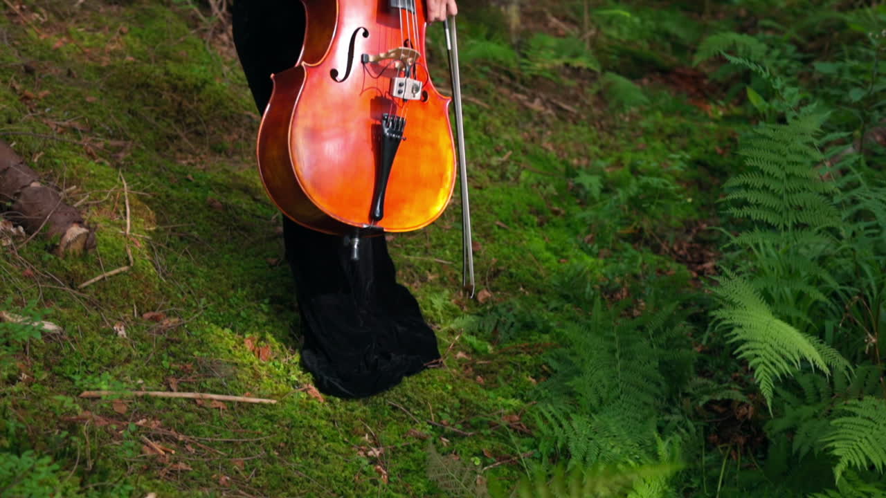 Woman with cello in the forest. Beautiful woman professional musician with cello outdoors