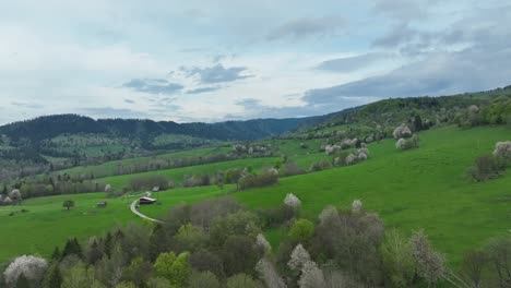 discover spring's beauty as the drone cruises low above blossoming orchards and meadows, unveiling an abandoned barn and a straight unpaved road, all under the drama of cloudy skies