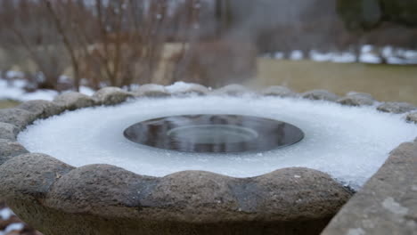 frozen bird bath in winter