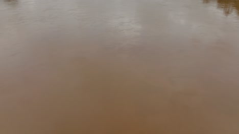 aerial tilt up shot showing brown colored amazon river and amazon rainforest in background