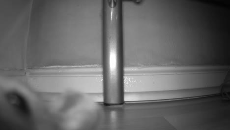 a small field mouse smelling a trail camera indoors