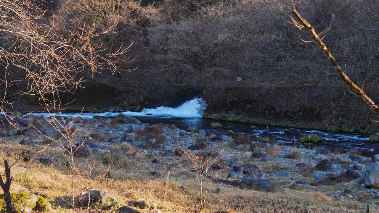 Mächtiger Wasserstrom strömt aus einem künstlichen Auslass in einen natürlichen Fluss in Japan und erzeugt turbulentes Wildwasser, umgeben von Felsen, trockener Vegetation und laublosem Wald.