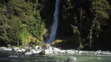 río corriendo frente a una cascada en un denso bosque nativo