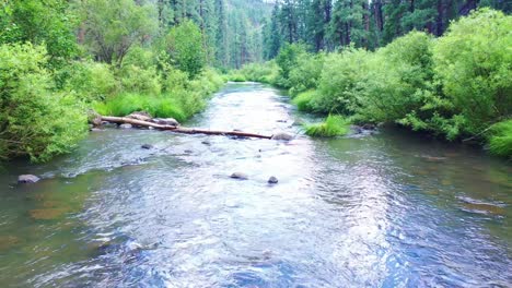 Überflug-Des-Black-River-Alpine-Az