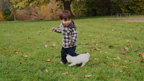 Alegre-Niño-Asiático-Jugando-Con-Cachorros-En-Un-Césped-Verde