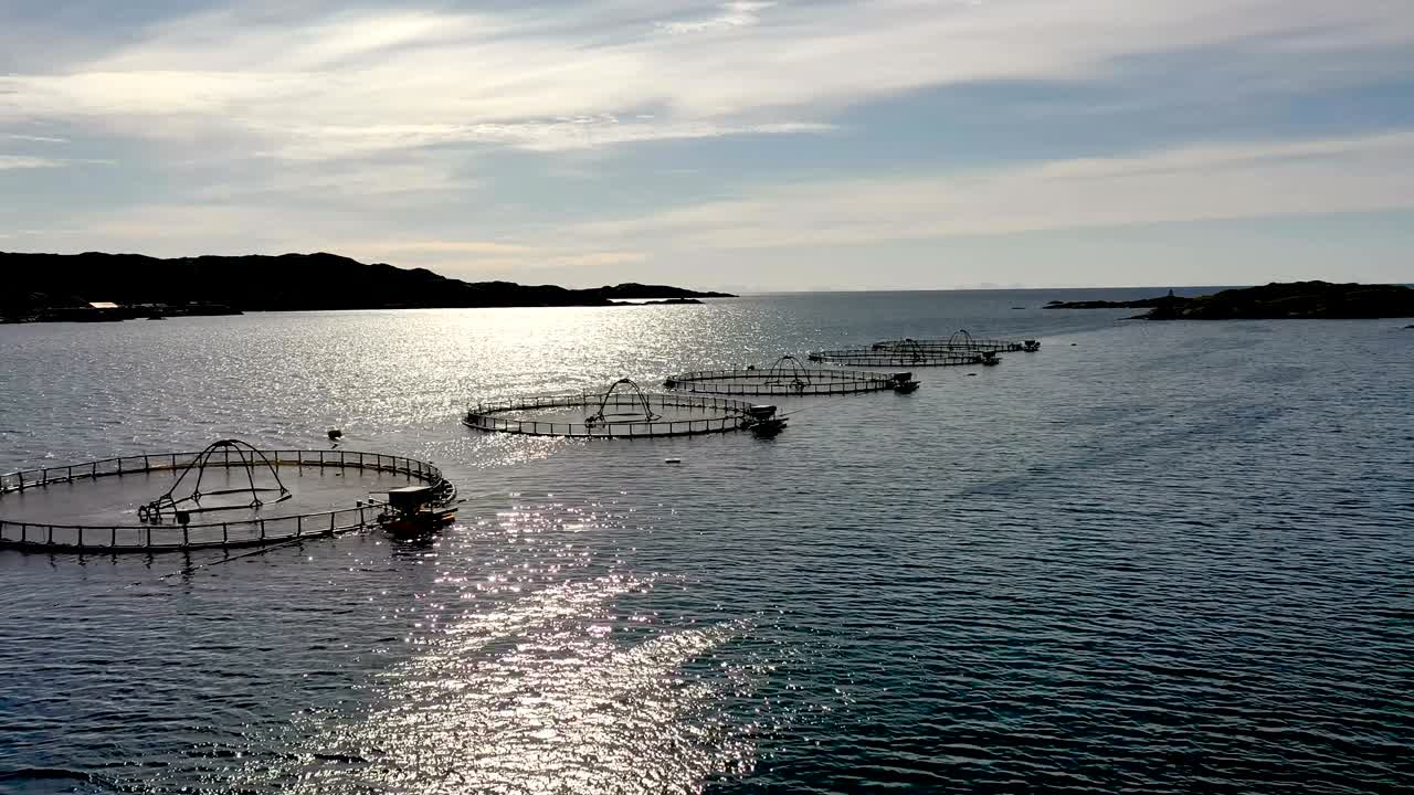 노르웨이에서 연어  ⁇ 시를 하는 공중 촬영