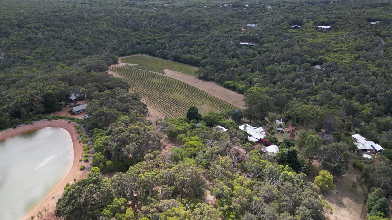 오스트레일리아 마거릿 리버 지역 의 포도 ⁇