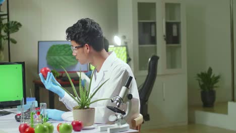 chemist researcher working microbiology expertise on computer while looking at apple with mock up green screen chroma key with isolated display. biologist working in medical lab