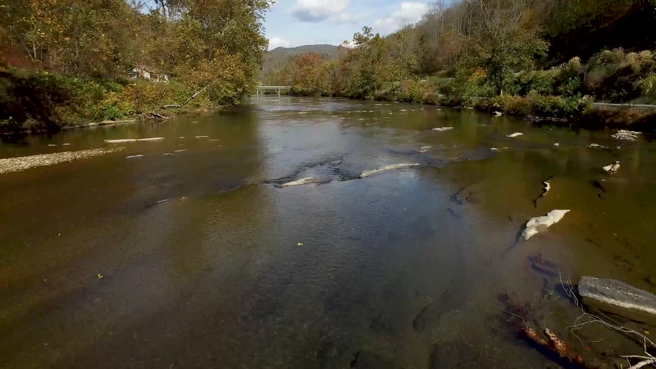 4K Drone of a calm river with lush trees on the banks