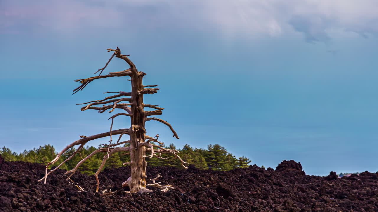 Time-lapse of sun setting over a lone dead tree with clouds in the background