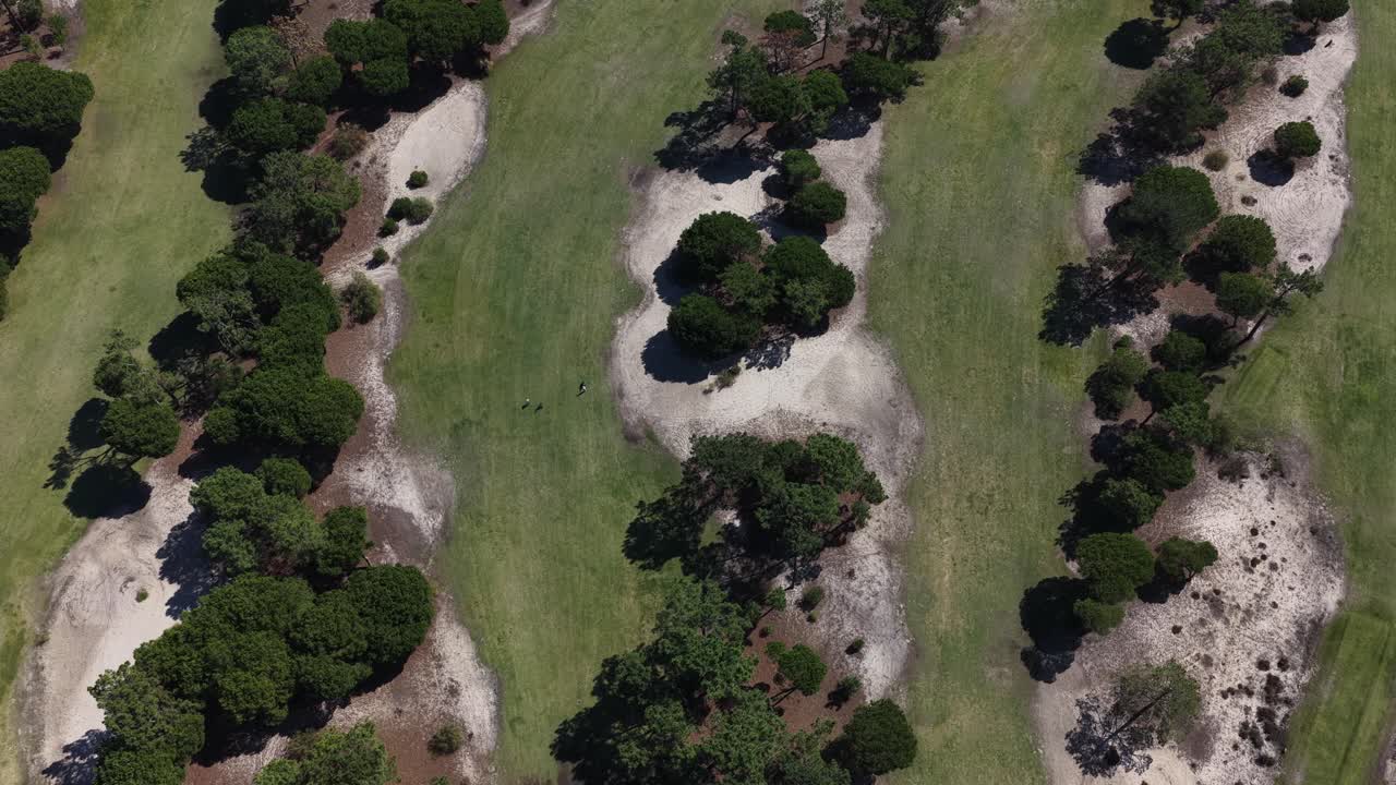 Top down view of golf players on golf course