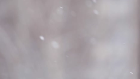 the snow slowly falls and turns. blurred winter white snow background