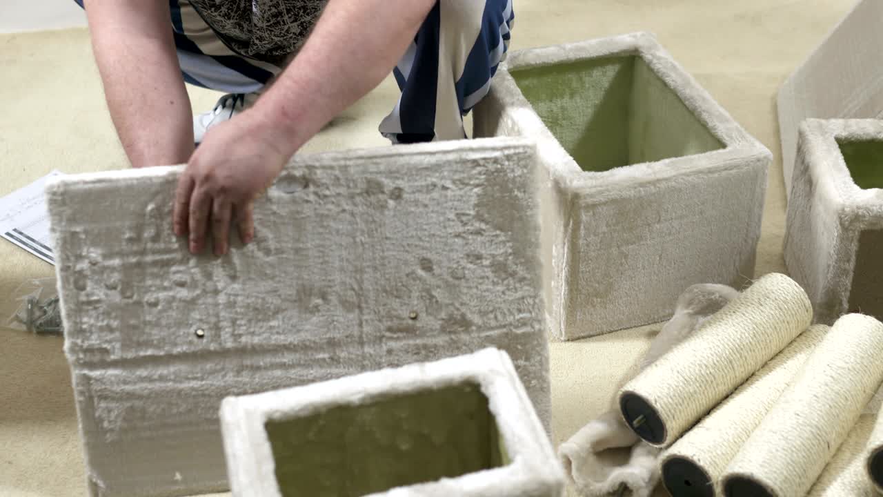 asamblea de condominios de casas de gatos en el árbol
