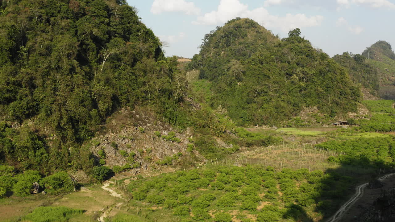 Drone weaves through Mộc Châu’s Na Ka Valley, showcasing greenery, orchards, and early plum development.