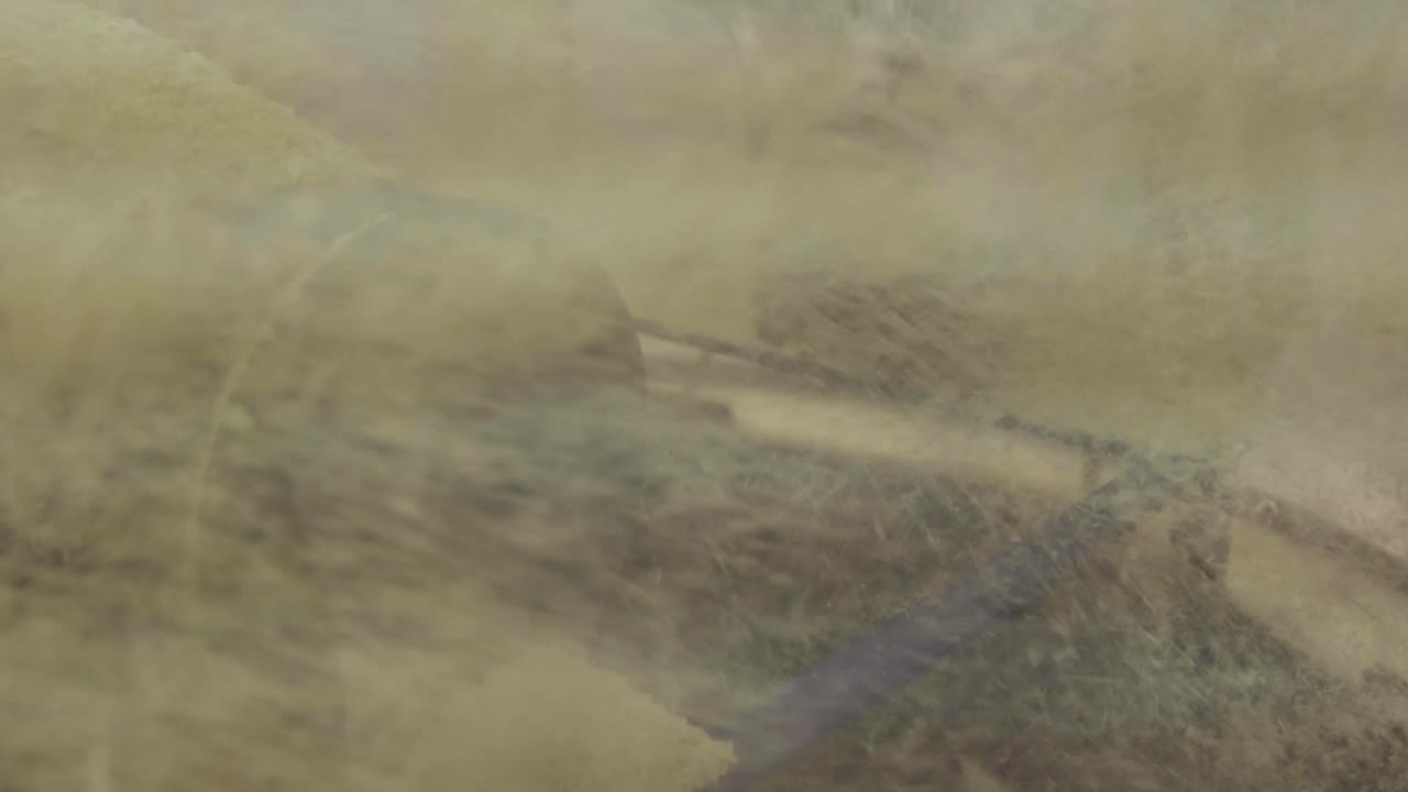 Máquina para el procesamiento de la madera