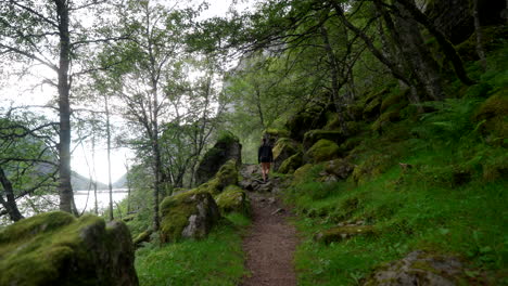 Hiker walking along a lush forest trail surrounded by moss-covered rocks and trees. Peaceful and immersive scene capturing the serenity of nature and the allure of adventure