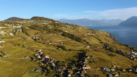 órbita-Aérea-Alta-Alrededor-Del-Pueblo-De-Savuit-En-El-Viñedo-De-Lavaux,-El-Lago-Léman-De-Suiza-Y-Los-Alpes-En-El-Fondo,-Colores-Otoñales