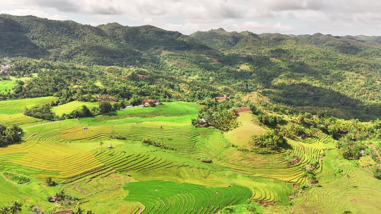 Lush green and golden rice terraces contour the hilly landscape of Cadapdapan in Bohol, Philippines, surrounded by forested mountains, small homes, and dynamic natural light under a partly cloudy sky
