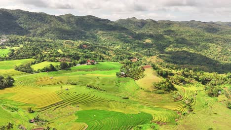 lush green and golden rice terraces contour the hilly landscape of cadapdapan in bohol, philippines, surrounded by forested mountains, small homes, and dynamic natural light under a partly cloudy sky