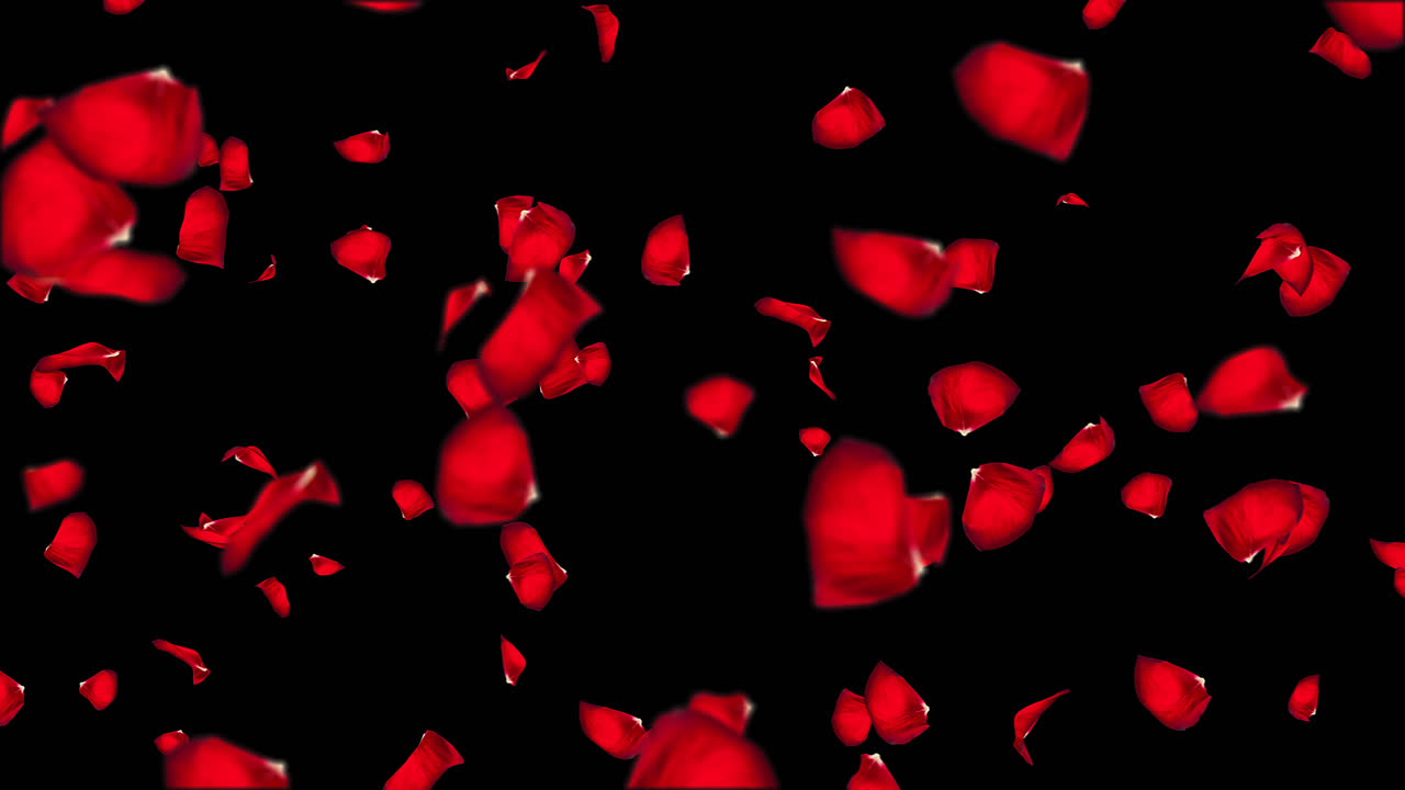 알파 채널을 가진 장미의 날아다니는 잎자루