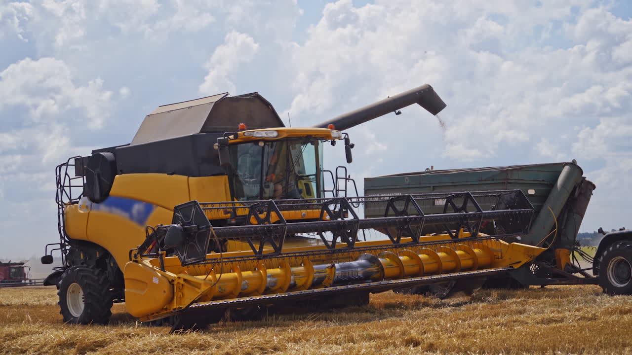 Modern combine pouring out crop into cart on the field. Yellow combine harvester in action during seasonal works under blue sky.
