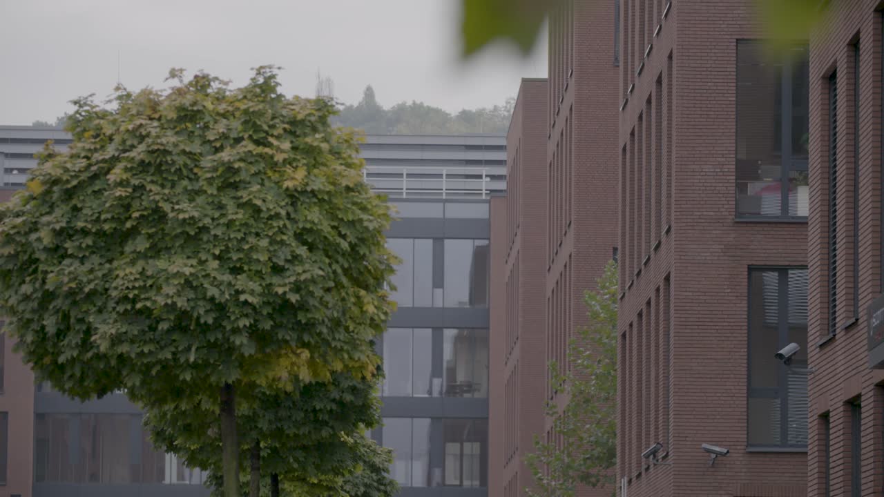 Modern office buildings with green trees in an urban setting, captured in a panning shot