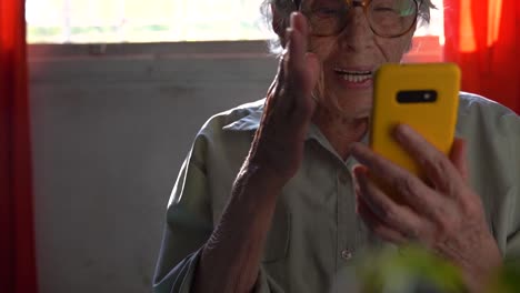 elderly woman on video call