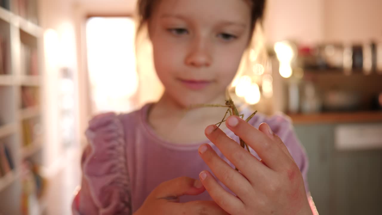 el retrato de una niña linda sostiene una mascota de insecto en las manos y se la pone en la cara en casa divertirse y sonreír