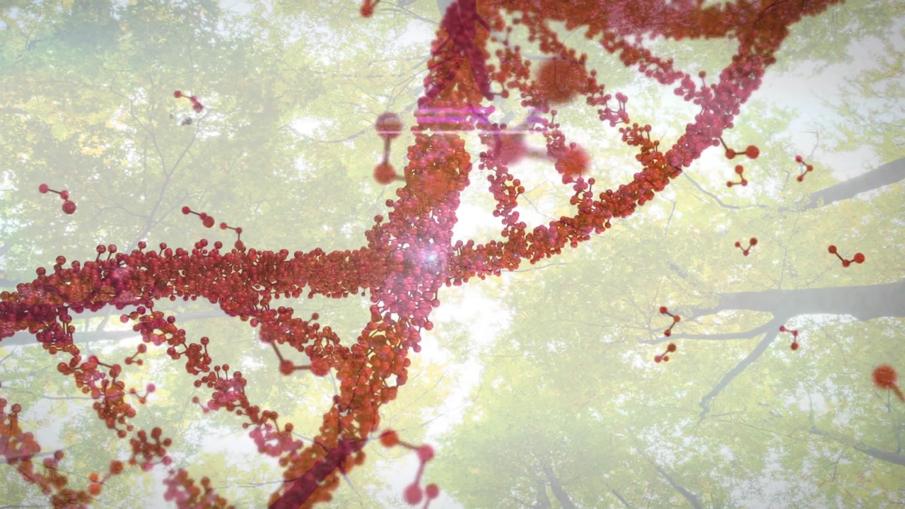 Emerging 3D red-orange double helix rotating over sunlit foliage zooming in showing molecular bonds