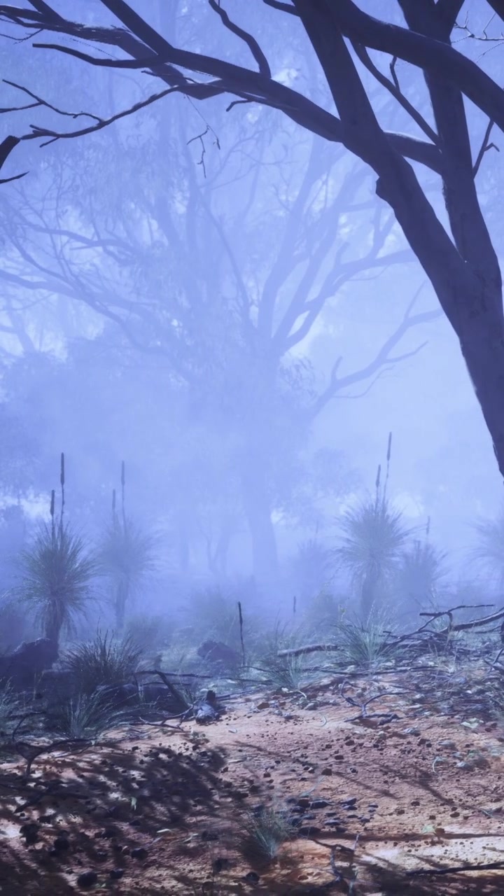 Scena naturale con alberi e nebbia in un ambiente esterno vicino a un sentiero.