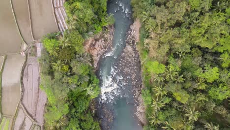 overhead drone shot of river with rapids and steep rocks