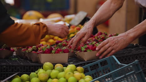 fresh strawberries in the fruit market in the ancient city of ghardaia, algeria