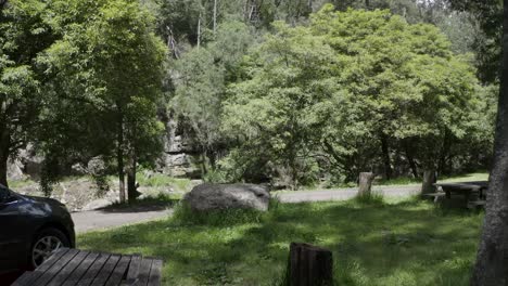 Close-up-tracking-shot,-drone-flight-through-a-forest-in-Australia-on-a-sunny-day,-no-people,-daylight