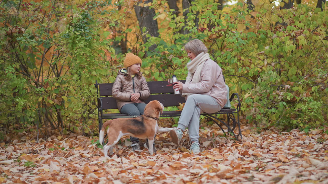 Mother pours steaming water from thermos into cup for daughter seated on bench, beagle stands on leaf covered ground with paw raised looking attentively, surrounded by vibrant autumn foliage