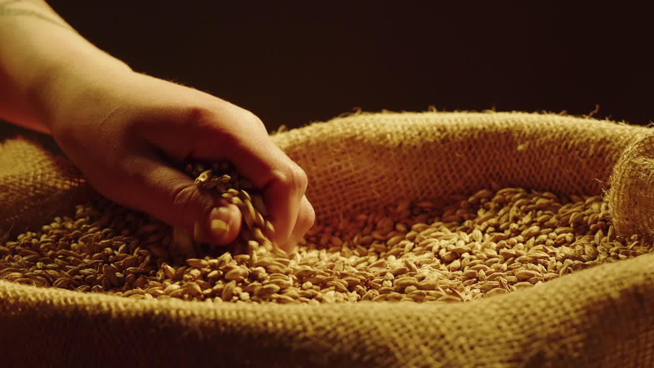 Hand in a Bag of Barley