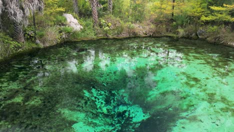 stationary shot from above crystal clear waters of pitt springs in the panhandle of northwest florida feeding water into econfina creek