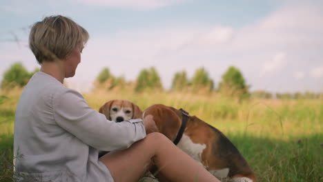 una mujer sentada en un campo cubierto de hierba interactúa lúdicamente con sus dos perros moviendo su mano, y los perros se mueven en respuesta, los perros son curiosos, llevan correas y siguen de cerca los movimientos de su mano.