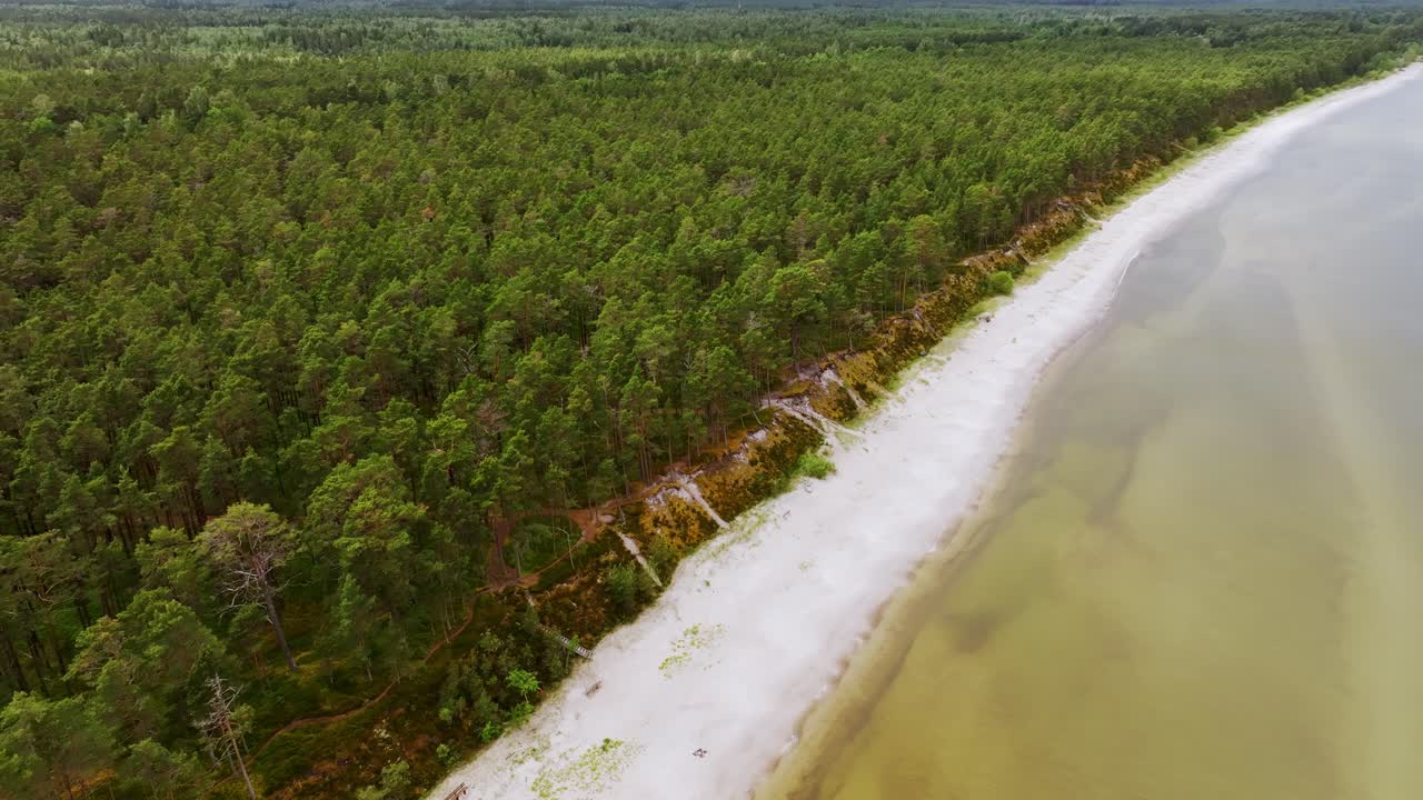 Coastal forest and white sandy beach along Baltic Sea on overcast summer day