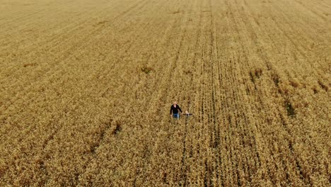 dad and son are walking along the endless wheat field, aerial view. unity of dad and son, happy fatherhood. circular motion of the camera, view from the copter.