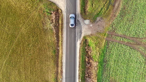 Aerial-View-of-Grey-Car-Driving-on-Straight-Road-next-to-Colorful-Field