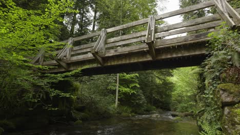 puente peatonal de madera sobre un arroyo, parte de las rutas de senderismo en la selva negra