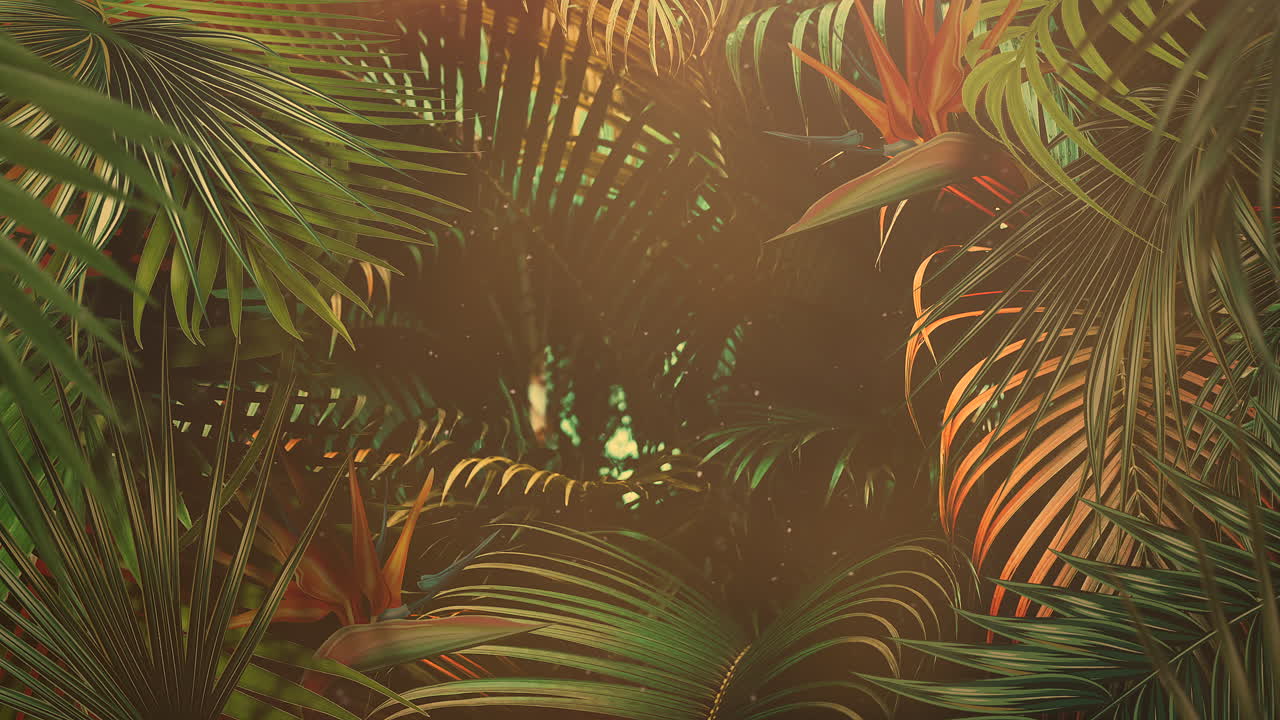 primer plano de hojas tropicales de árboles con fondo de verano 15