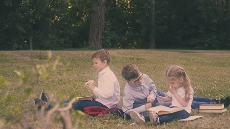 Die-Schüler-Sitzen-Auf-Der-Wiese,-Lesen-Bücher-Und-Besprechen-Die-Hausaufgabe