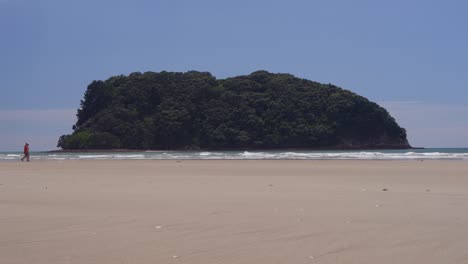 Paisaje-De-Playa-Vintage-Con-Caminantes-Que-Pasan