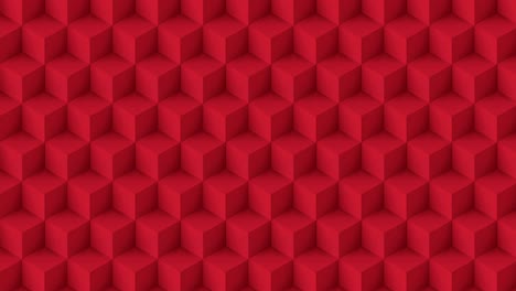 cubo poli de color rojo