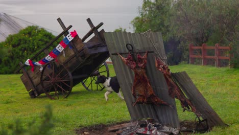 Chilean-Fiestas-Patrias-Lamb-to-fire,-and-a-cart-in-Castro,-Chiloé-south-of-Chile