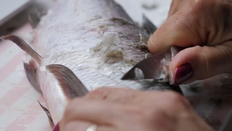 woman peel off fish side scales