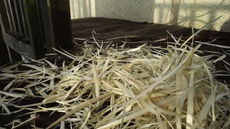 montones de virutas de madera sobrantes de hacer una cesta galesa tradicional