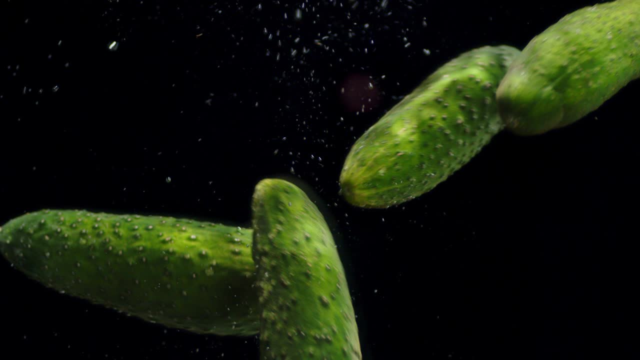 오징어는 공기 거품으로 물에 떨어집니다.